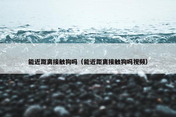 能近距离接触狗吗（能近距离接触狗吗视频）