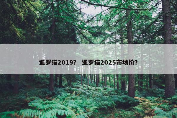 暹罗猫2019？ 暹罗猫2025市场价？