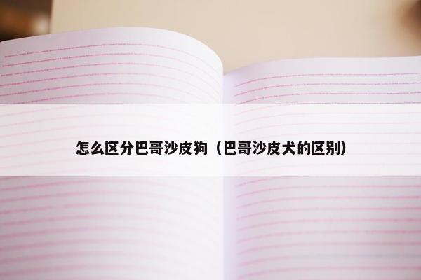 怎么区分巴哥沙皮狗（巴哥沙皮犬的区别）