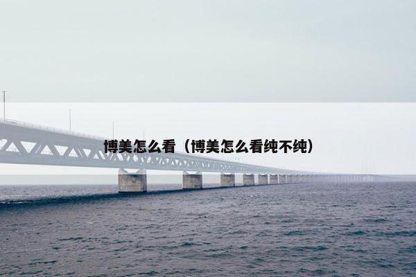 博美怎么看（博美怎么看纯不纯）