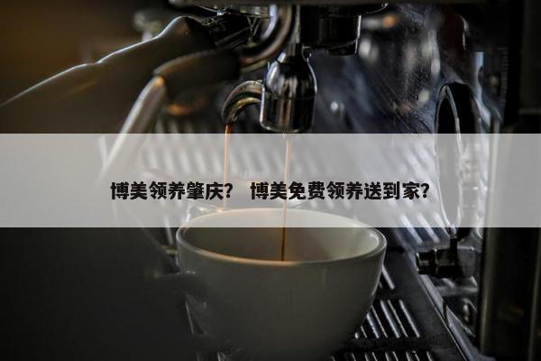 博美领养肇庆？ 博美免费领养送到家？