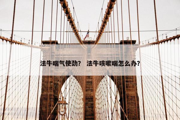 法牛喘气使劲？ 法牛咳嗽喘怎么办？