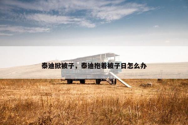 泰迪掀被子，泰迪抱着被子日怎么办