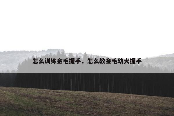 怎么训练金毛握手，怎么教金毛幼犬握手