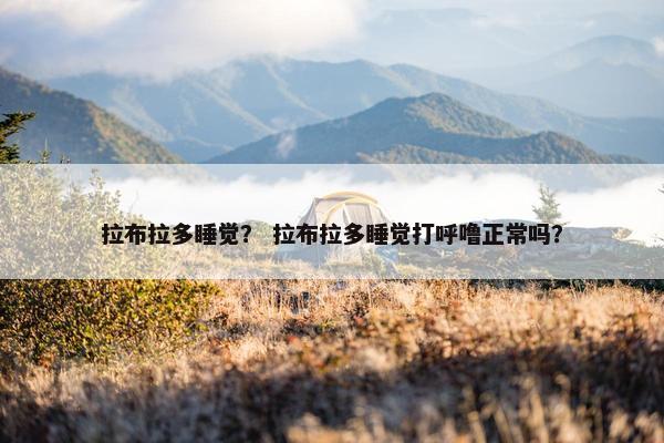 拉布拉多睡觉？ 拉布拉多睡觉打呼噜正常吗？