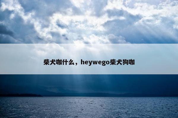 柴犬咖什么，heywego柴犬狗咖
