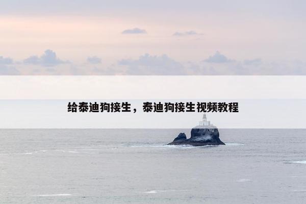 给泰迪狗接生，泰迪狗接生视频教程