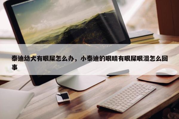泰迪幼犬有眼屎怎么办，小泰迪的眼睛有眼屎眼泪怎么回事