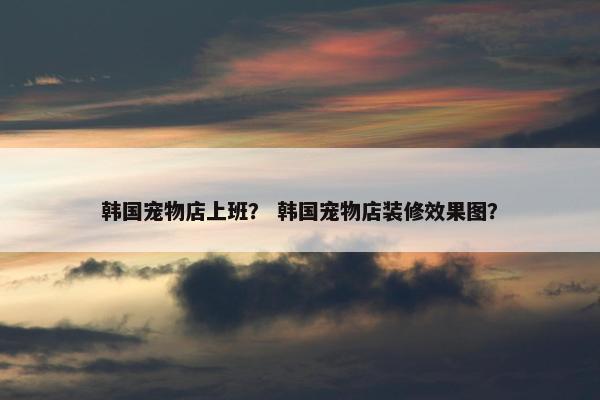 韩国宠物店上班？ 韩国宠物店装修效果图？