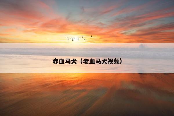 赤血马犬（老血马犬视频）