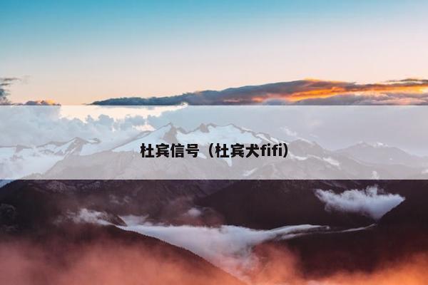 杜宾信号（杜宾犬fifi）
