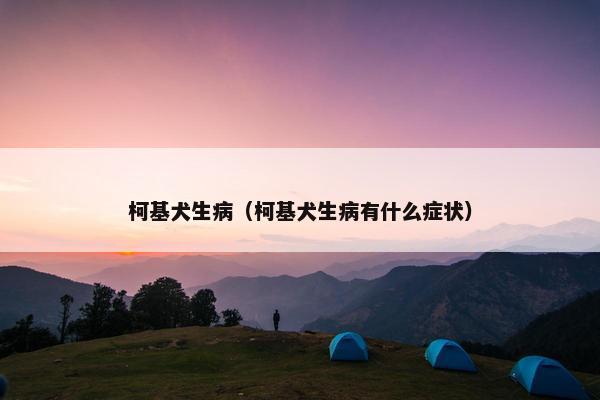 柯基犬生病（柯基犬生病有什么症状）