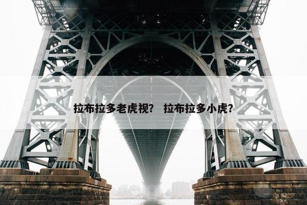 拉布拉多老虎视？ 拉布拉多小虎？
