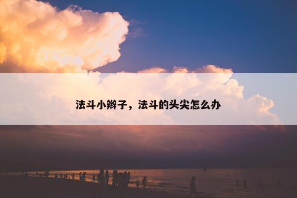 法斗小辫子，法斗的头尖怎么办