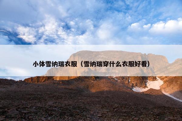 小体雪纳瑞衣服（雪纳瑞穿什么衣服好看）