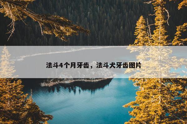 法斗4个月牙齿，法斗犬牙齿图片