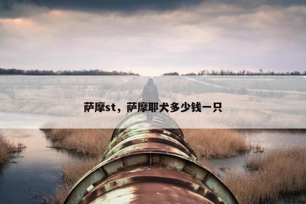 萨摩st，萨摩耶犬多少钱一只