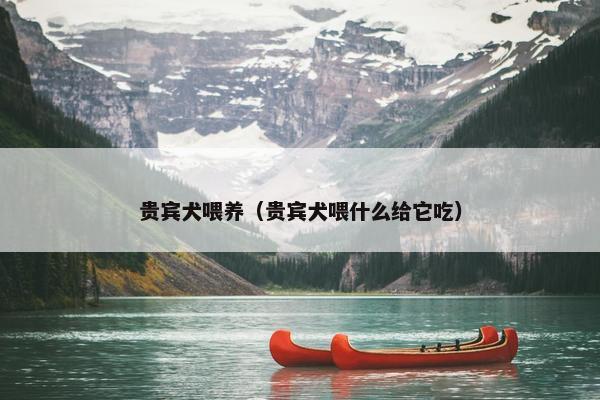 贵宾犬喂养（贵宾犬喂什么给它吃）