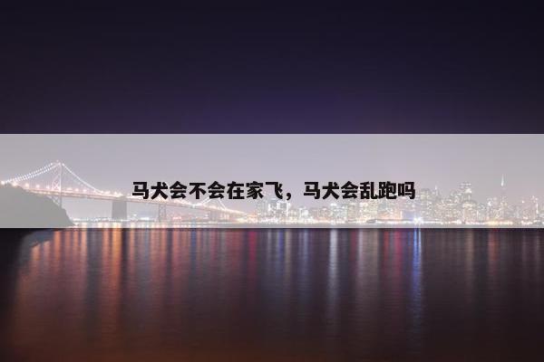 马犬会不会在家飞，马犬会乱跑吗
