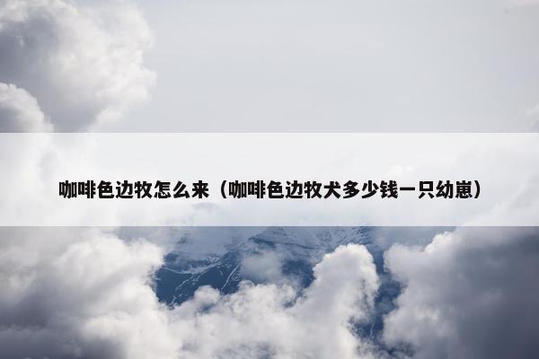 咖啡色边牧怎么来（咖啡色边牧犬多少钱一只幼崽）