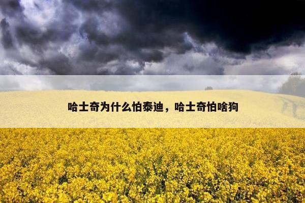 哈士奇为什么怕泰迪，哈士奇怕啥狗
