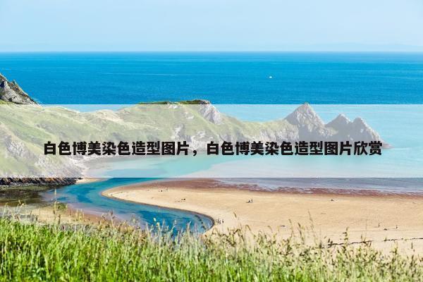 白色博美染色造型图片，白色博美染色造型图片欣赏
