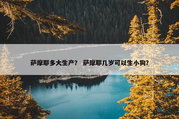 萨摩耶多大生产？ 萨摩耶几岁可以生小狗？