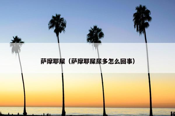 萨摩耶屎（萨摩耶屎尿多怎么回事）