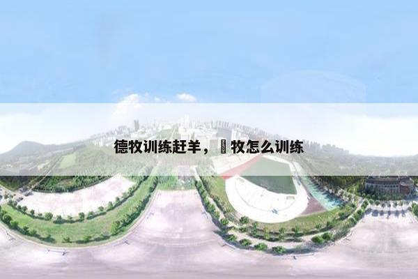 德牧训练赶羊，徳牧怎么训练
