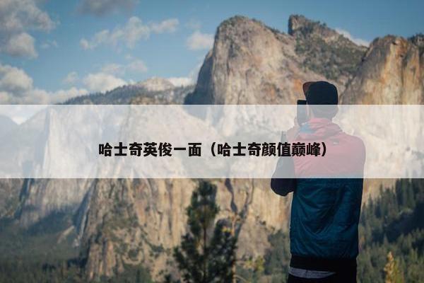 哈士奇英俊一面（哈士奇颜值巅峰）