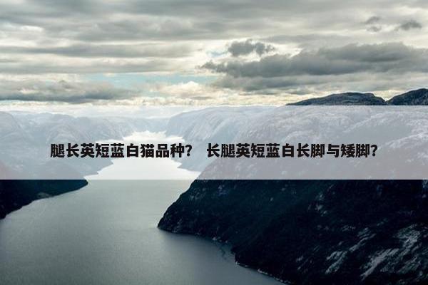 腿长英短蓝白猫品种？ 长腿英短蓝白长脚与矮脚？