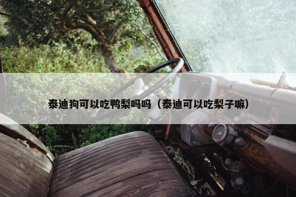 泰迪狗可以吃鸭梨吗吗（泰迪可以吃梨子嘛）