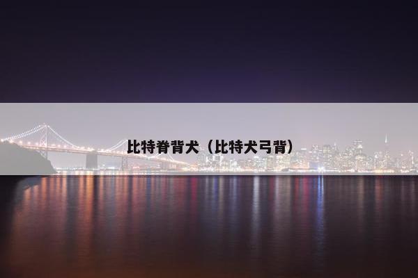 比特脊背犬（比特犬弓背）