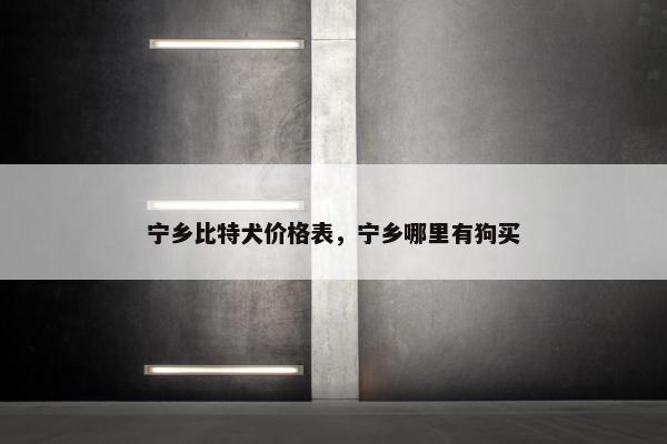 宁乡比特犬价格表，宁乡哪里有狗买