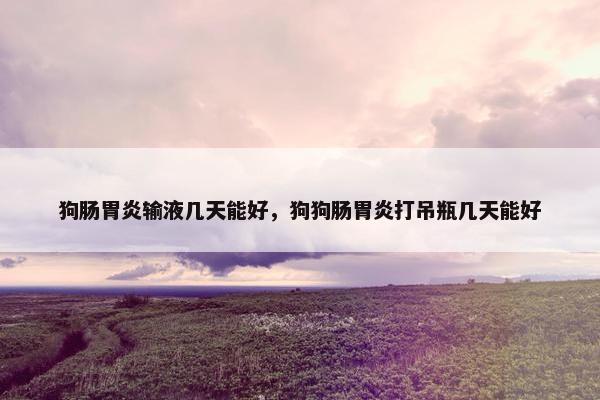 狗肠胃炎输液几天能好，狗狗肠胃炎打吊瓶几天能好