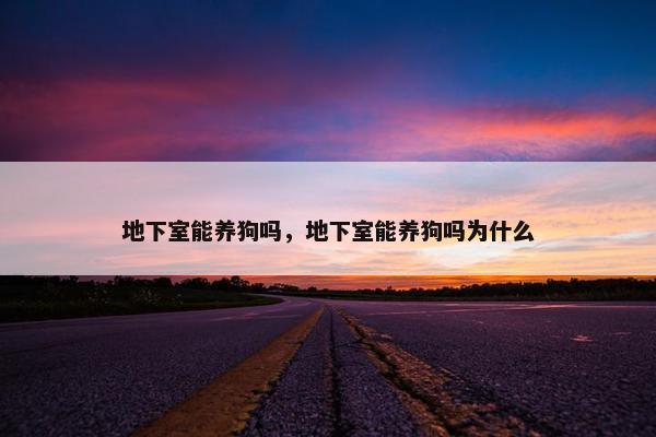 地下室能养狗吗，地下室能养狗吗为什么