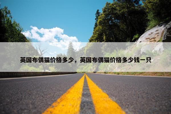 英国布偶猫价格多少，英国布偶猫价格多少钱一只