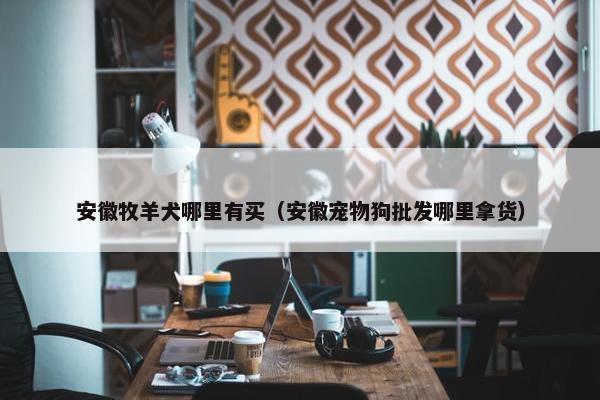 安徽牧羊犬哪里有买（安徽宠物狗批发哪里拿货）