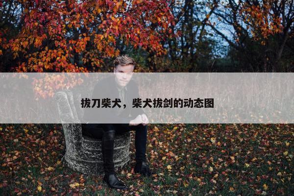 拔刀柴犬，柴犬拔剑的动态图