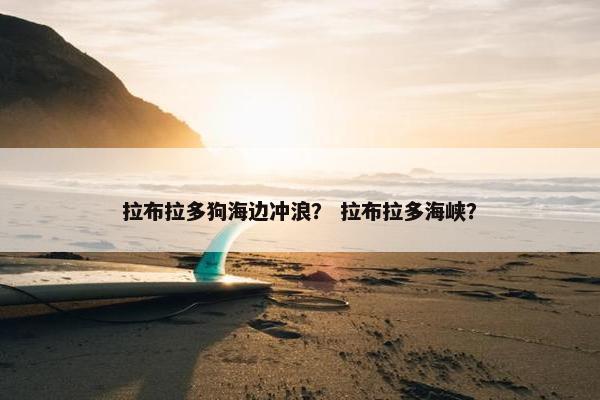 拉布拉多狗海边冲浪？ 拉布拉多海峡？