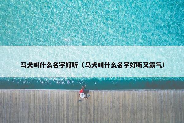 马犬叫什么名字好听（马犬叫什么名字好听又霸气）