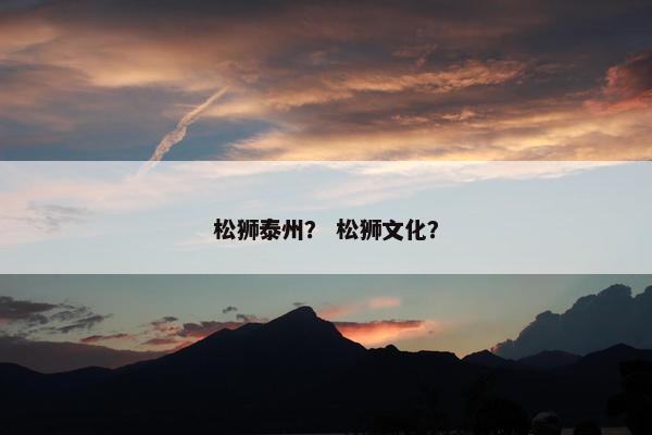 松狮泰州？ 松狮文化？