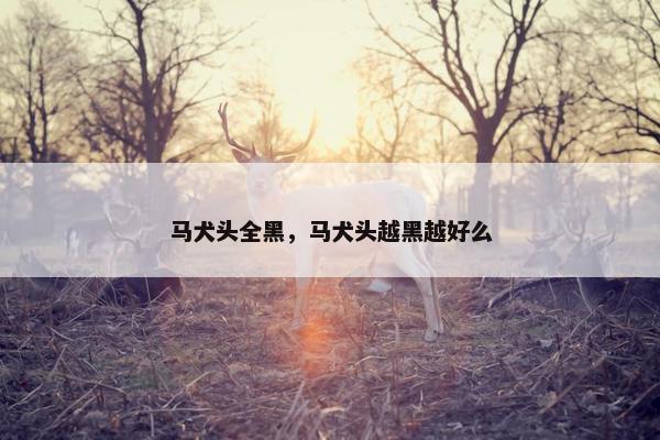 马犬头全黑，马犬头越黑越好么