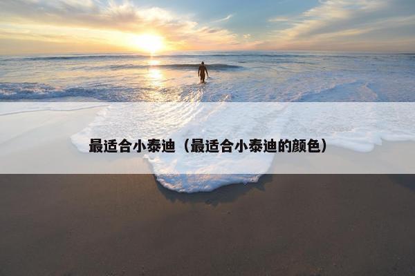 最适合小泰迪（最适合小泰迪的颜色）