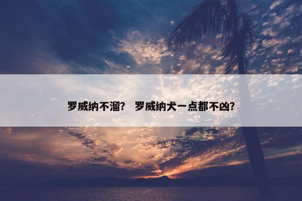 罗威纳不溜？ 罗威纳犬一点都不凶？