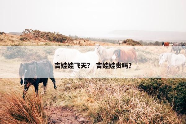 吉娃娃飞天？ 吉娃娃贵吗？
