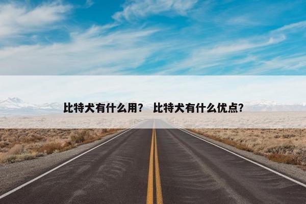 比特犬有什么用？ 比特犬有什么优点？
