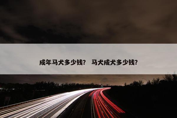 成年马犬多少钱？ 马犬成犬多少钱？