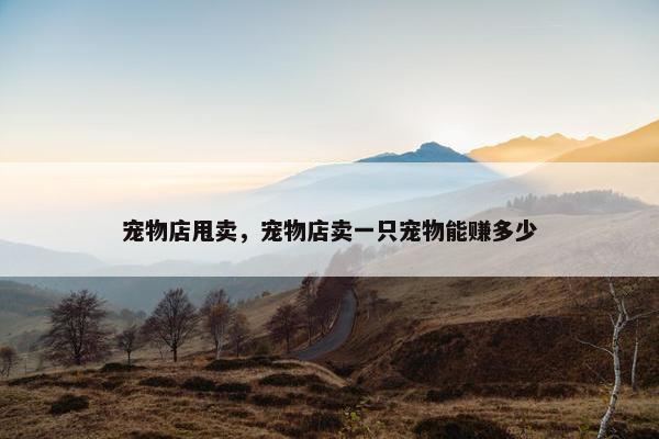 宠物店甩卖，宠物店卖一只宠物能赚多少