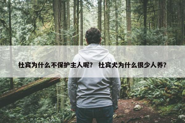 杜宾为什么不保护主人呢？ 杜宾犬为什么很少人养？